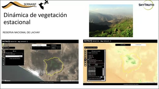 A screen capture from a presentation slide showing the Monitor interface with header text above reading: Dinamica de vegetacion estacional