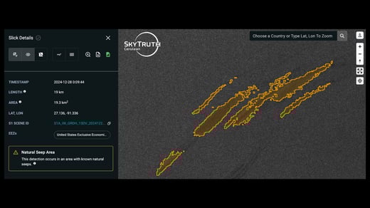 A screenshot of the Cerulean platform, showing a natural seep along with the new Natural Seep Area alert in the panel at the bottom left.